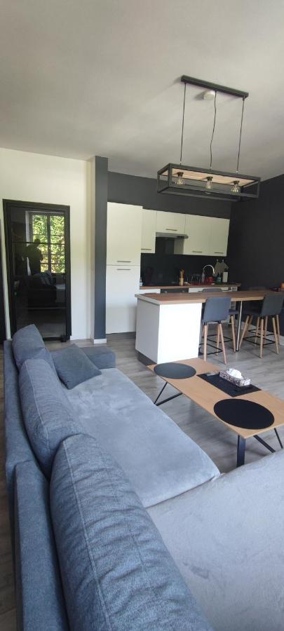 Appartement D'Hippolyte - Vue Musee Rimbaud Charleville-Mézières Kültér fotó